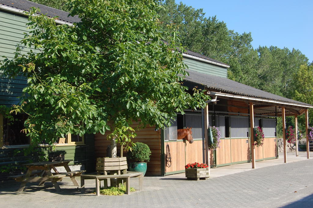 Apartment Lelymare Logies Lelystad